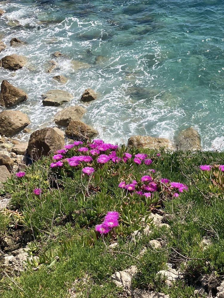 Spring on the coast