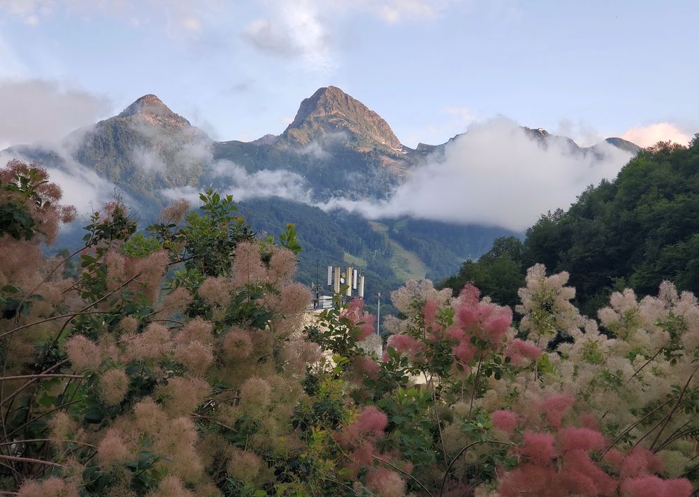 Photograph by Ольга Сухарева