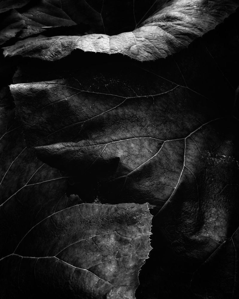 Photograph by Людмила М