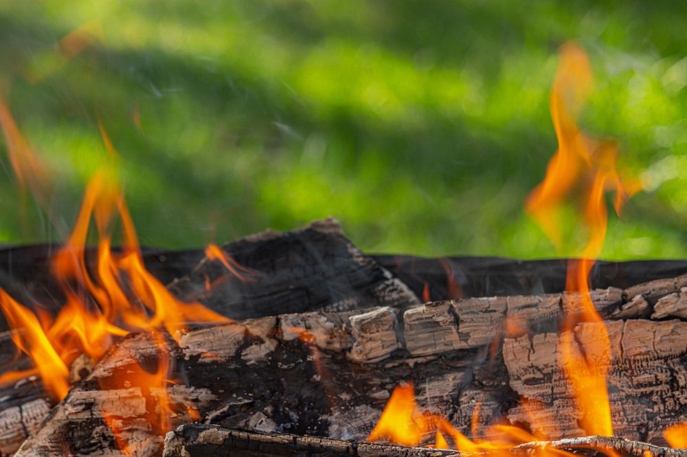 Фотография автора Александр Довганюк