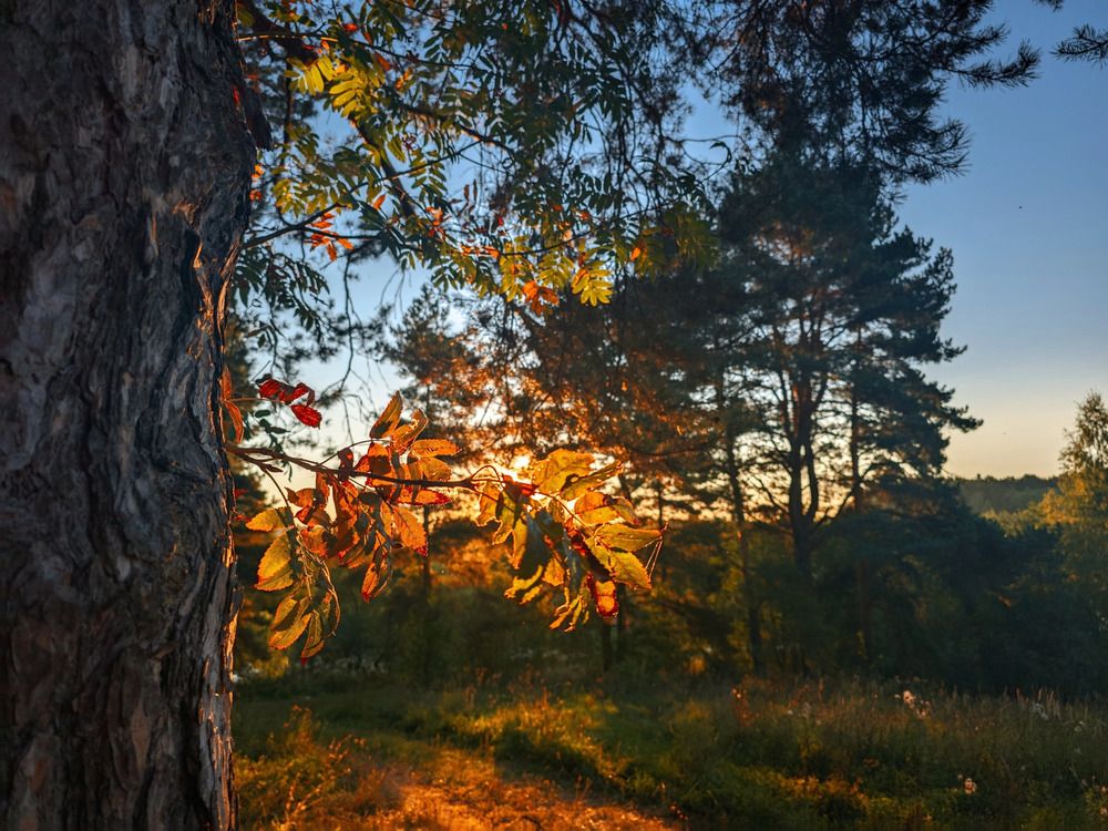 Photograph by Кирилл Сидоров