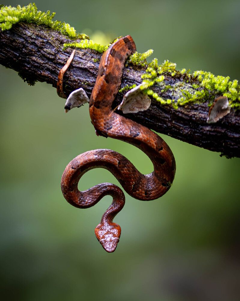 Photograph by Shiva Kumar. R