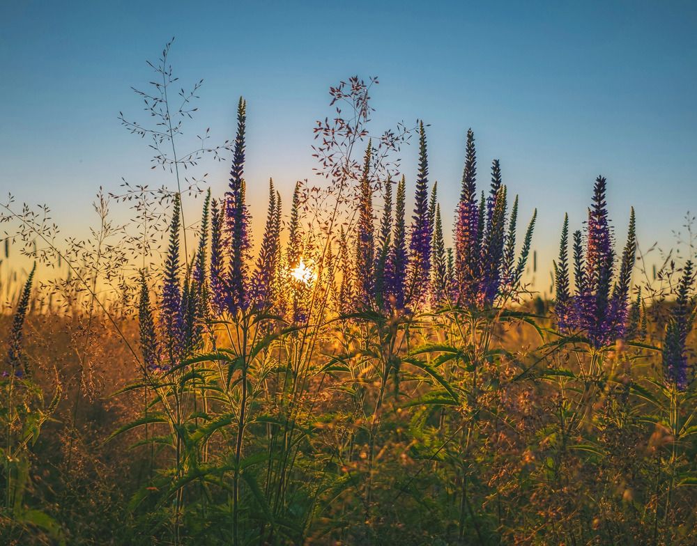 Photograph by Кирилл Сидоров