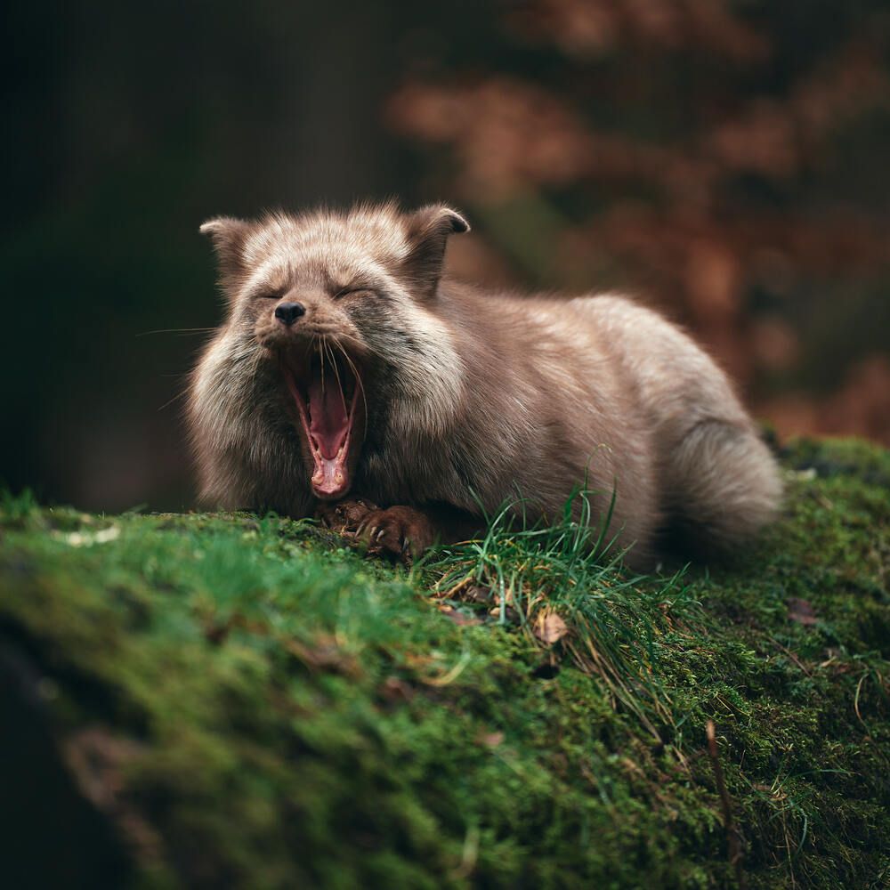 Photograph by Natalie Liedtke