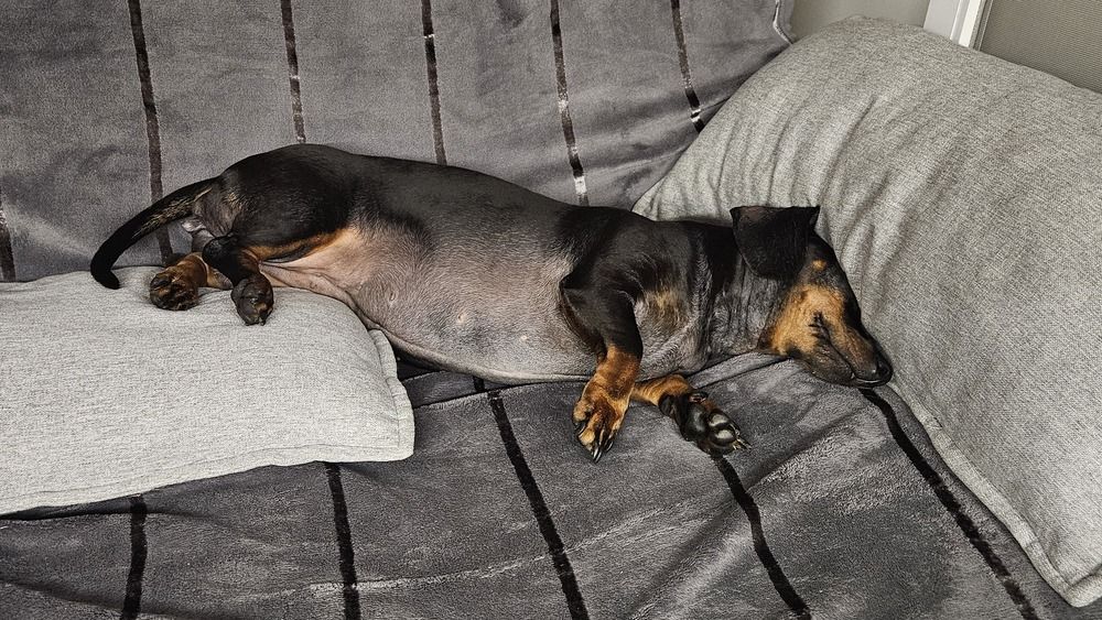 Photograph by Dâmaris Ferrão