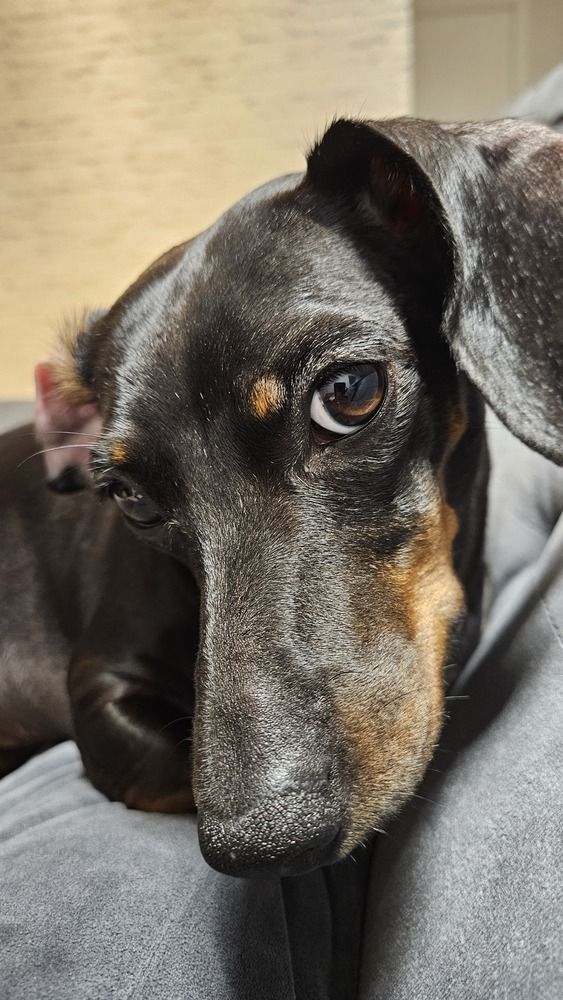 Photograph by Dâmaris Ferrão