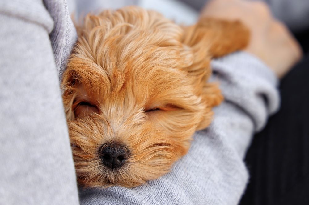 Photograph by Ирина Толстых