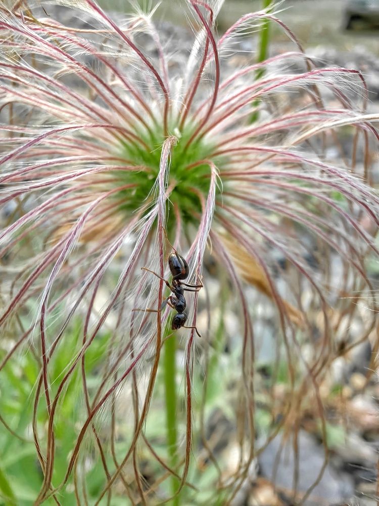 Photograph by Анастасия Зайцева