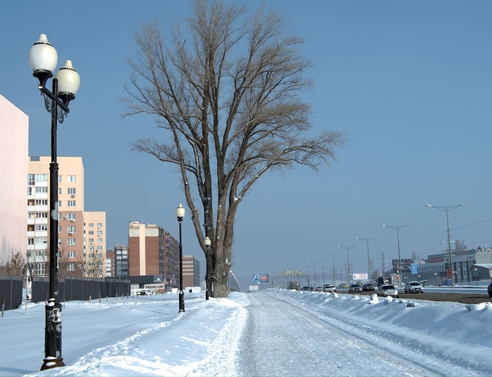 Photograph by Михаил Король