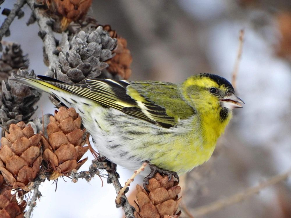 Photograph by Анжелика Трошина