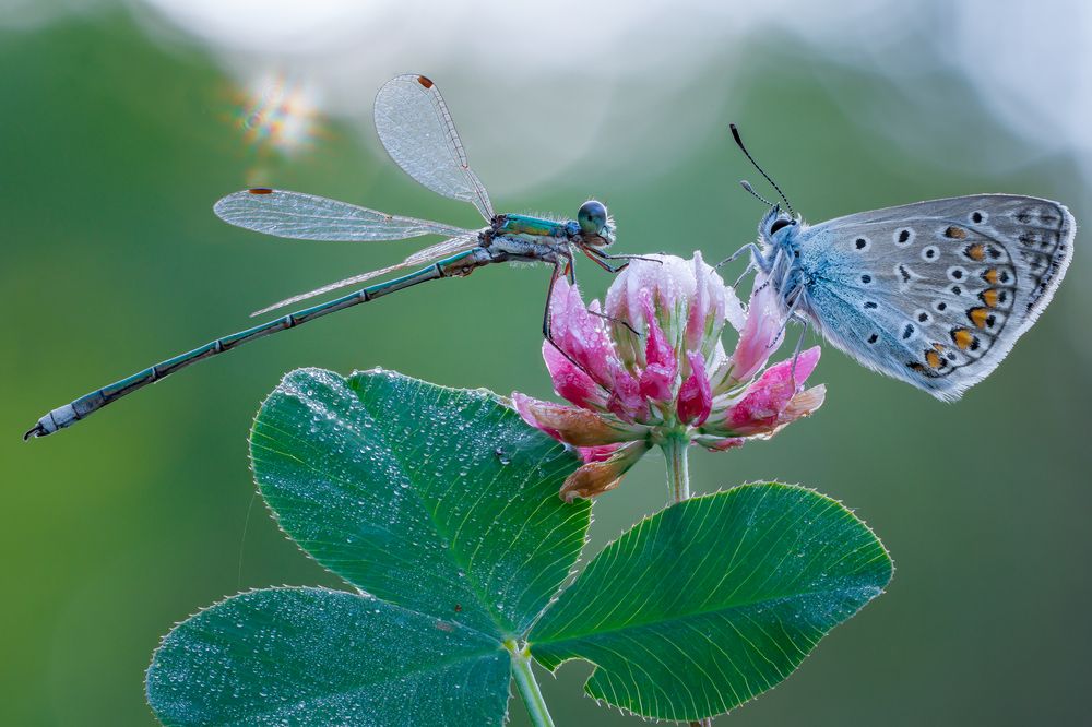 Photograph by Кузнецов Дмитрий