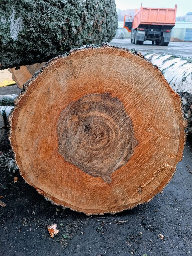 Photograph by Сидорова Ирина