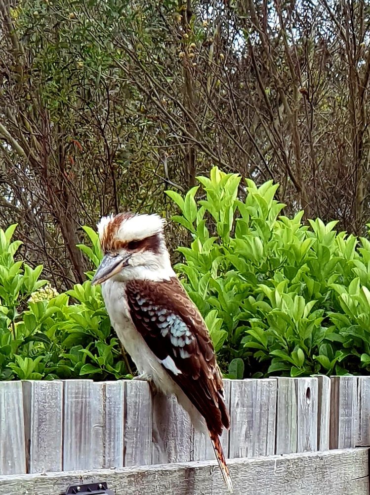 Фотография автора Priscilla Niranjan