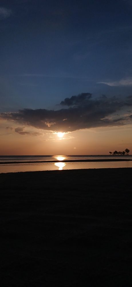 Photo #11958002