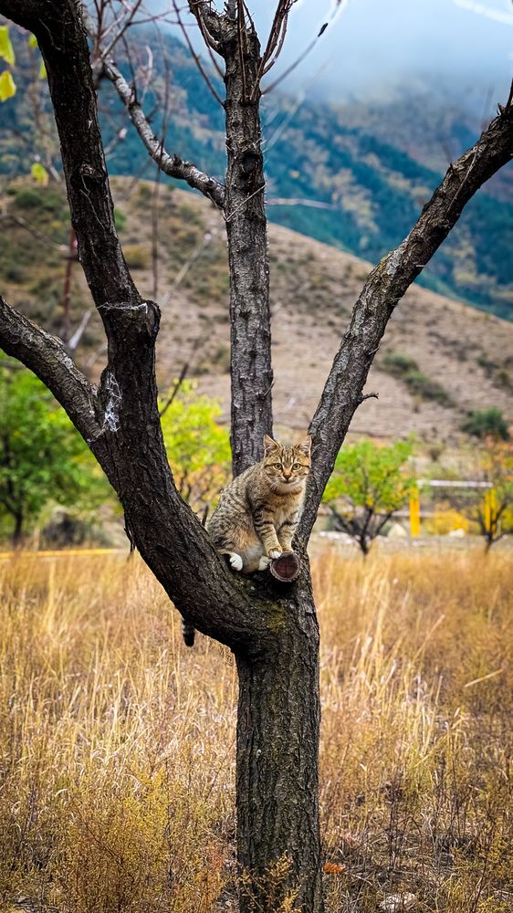 Photograph by Lenar Valeev