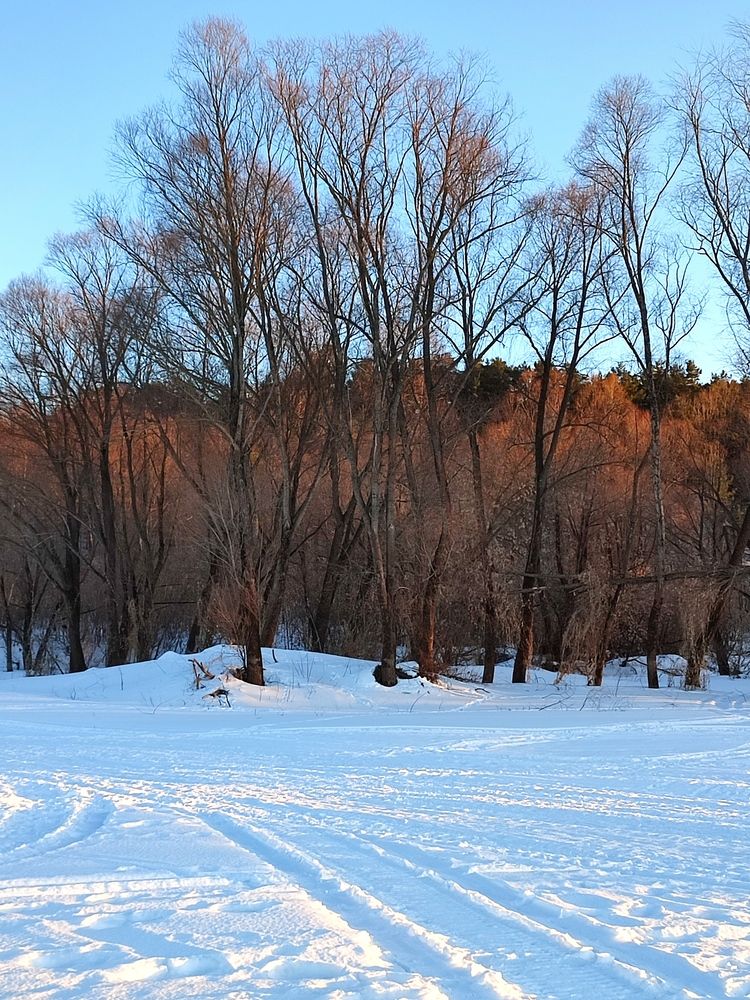 Photograph by Galina Novichkova