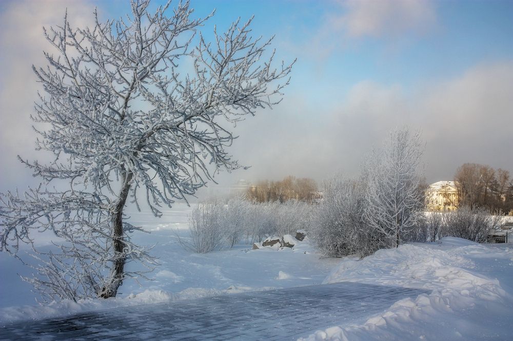 Photograph by Ольга Литвинцева