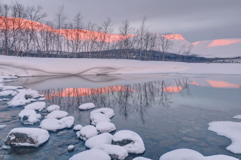 Photograph by Добролюбова Тамара