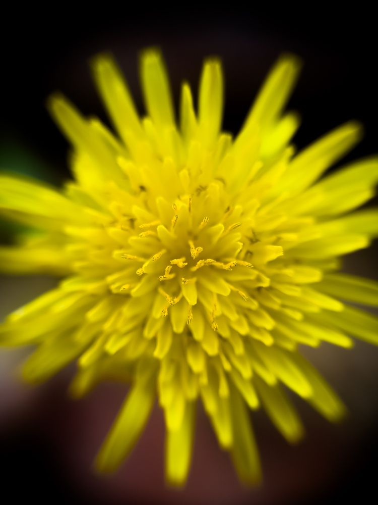 Photograph by Idham Ciptamargana