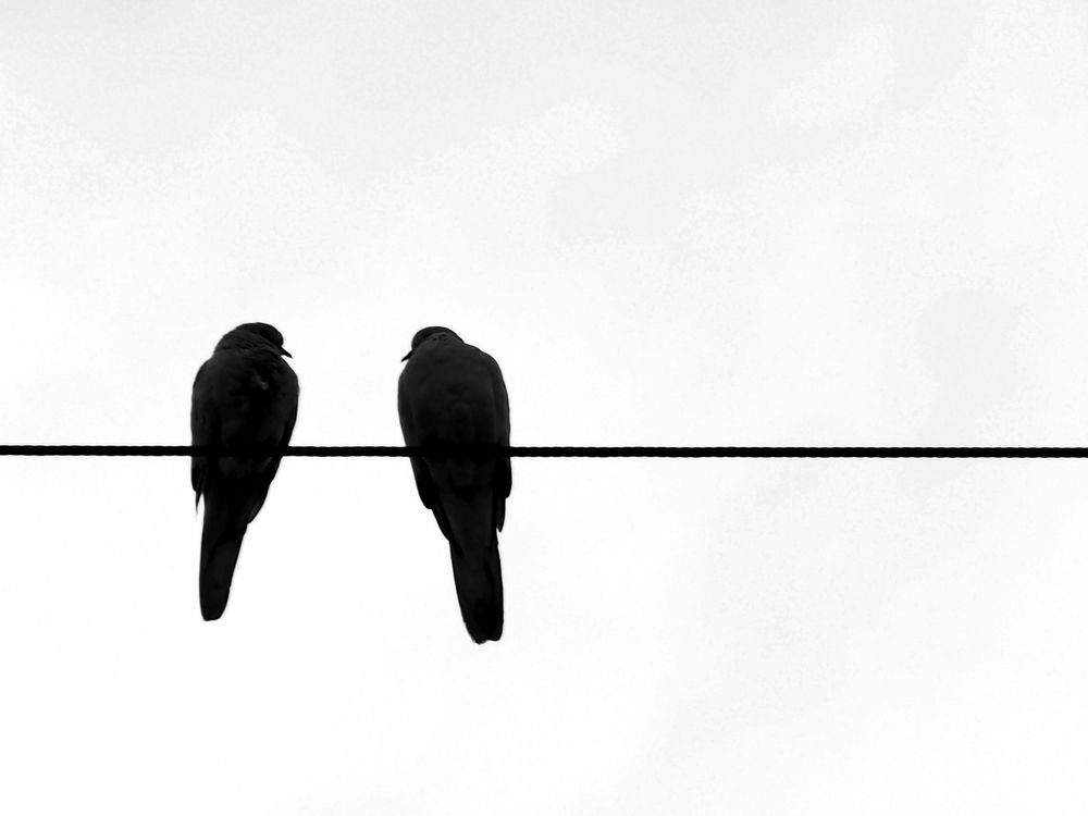 Photograph by Abdolreza Aleagha