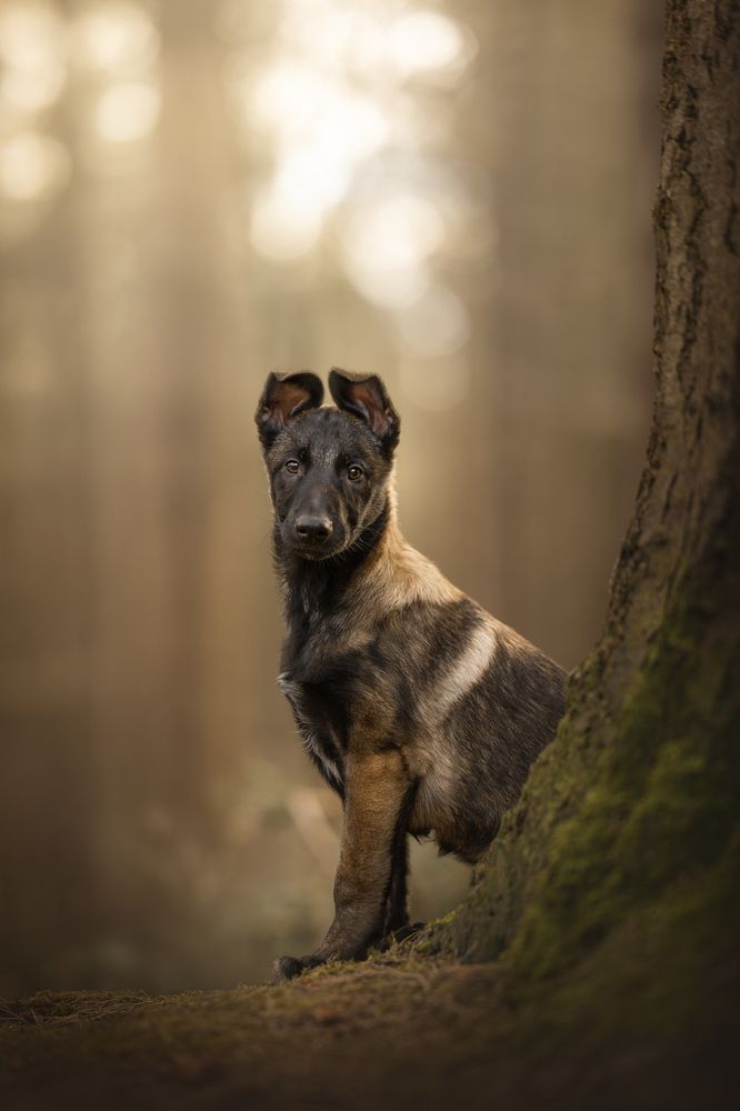 Фотография автора Lenne