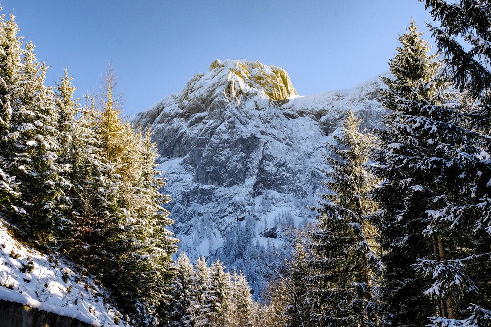 Фотография автора Dmitry