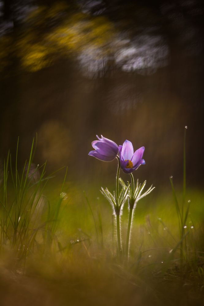 Photograph by Викулов Николай