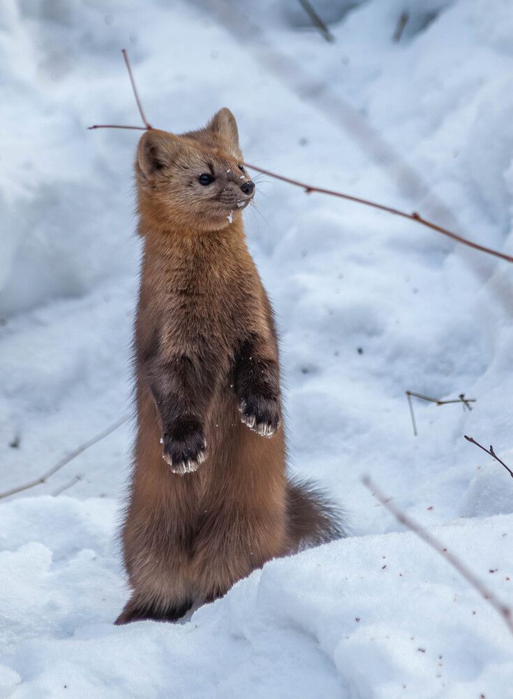Photograph by Толян Бууулочкин