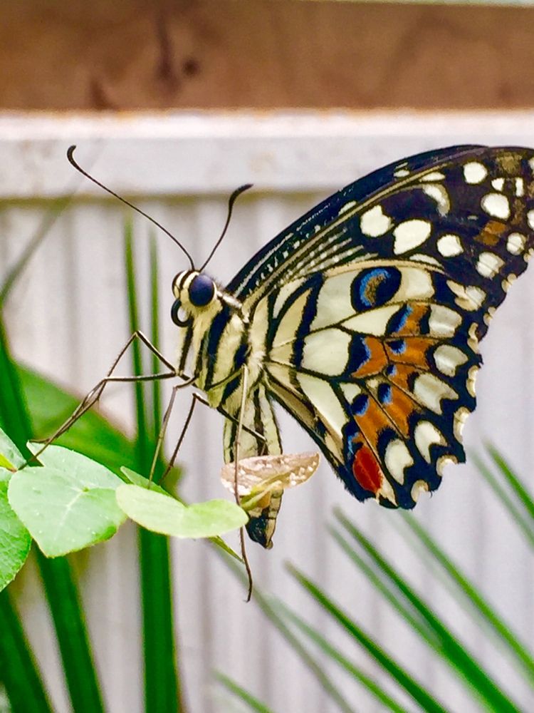 Photograph by Timea Kovacs