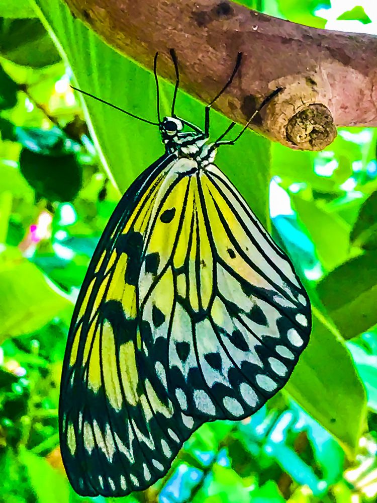 Photograph by Timea Kovacs