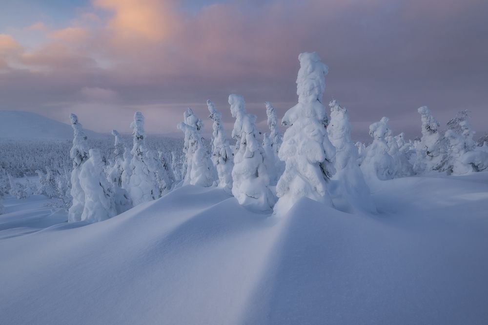 Photograph by Сергей Алтушкин