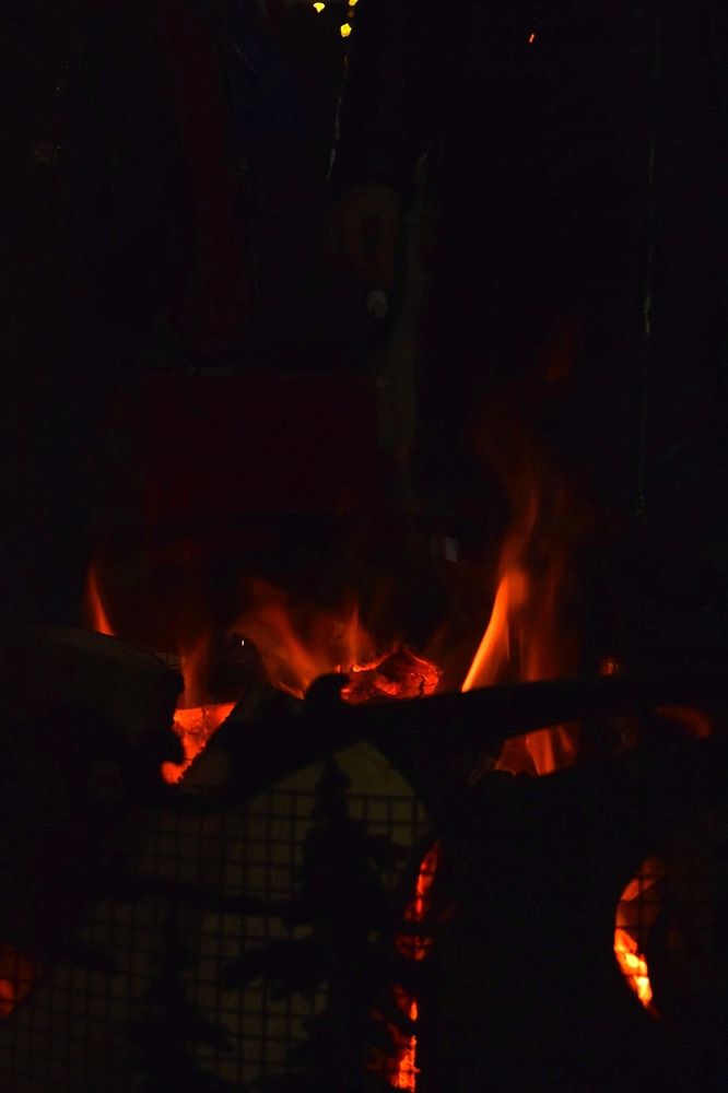 Photograph by Арина Черникова