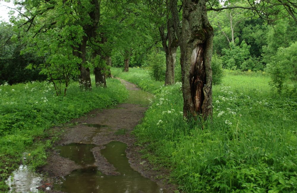 Photograph by Юрий Чистяков