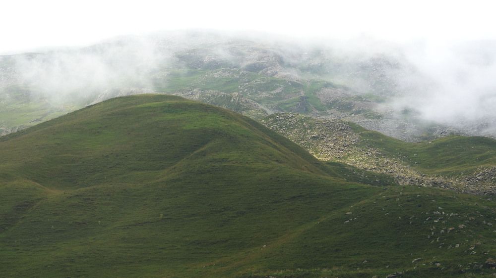 Photograph by Настя Федюнина