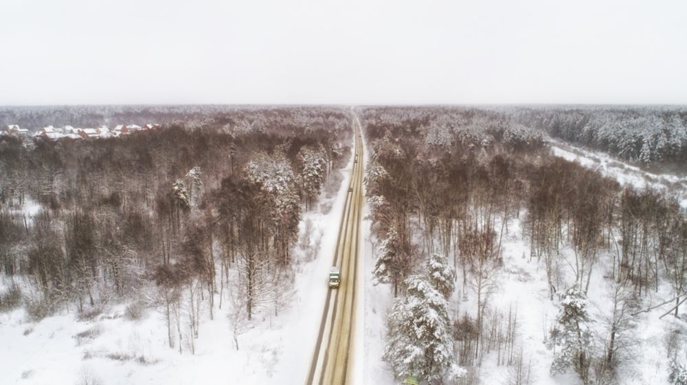 Photograph by Елена Бурёнова