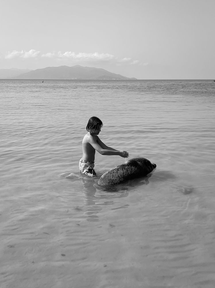 Photograph by Anna Podtynnaia