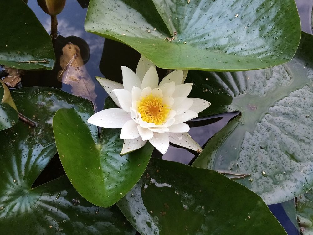 Фотография автора Наталья Визер