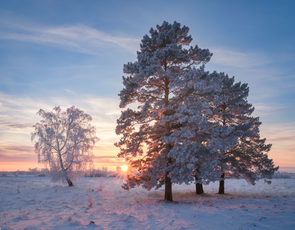 Photograph by Леонтьев Константин