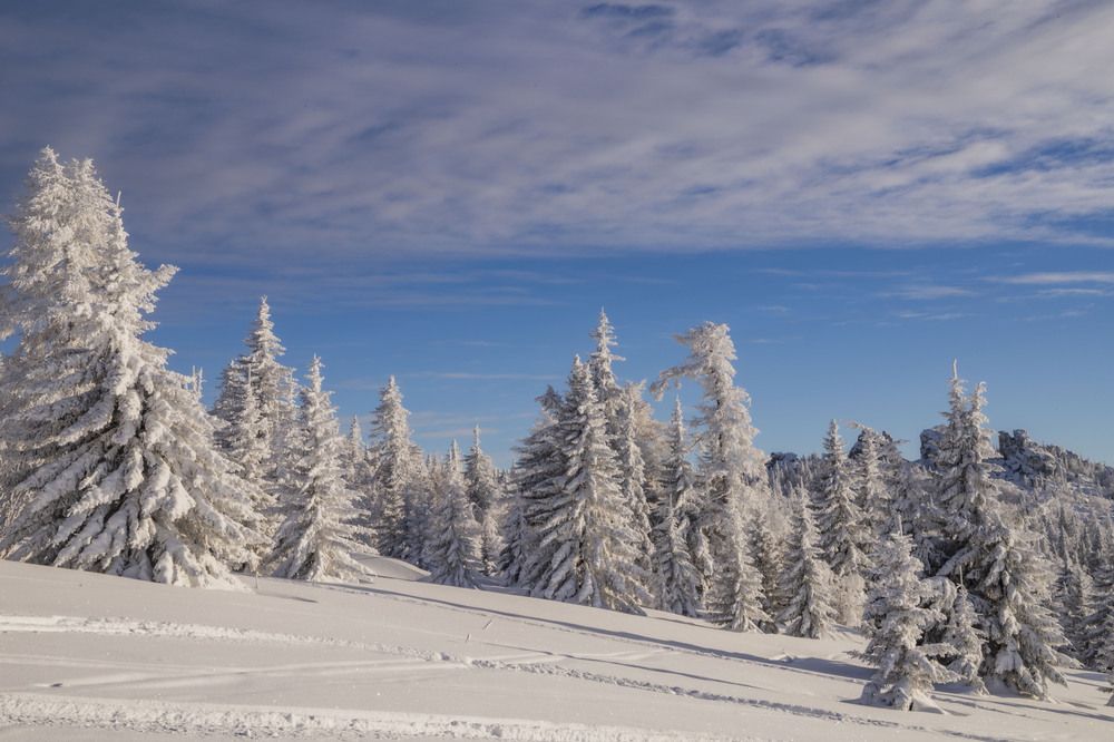 Photograph by Елена Перминова