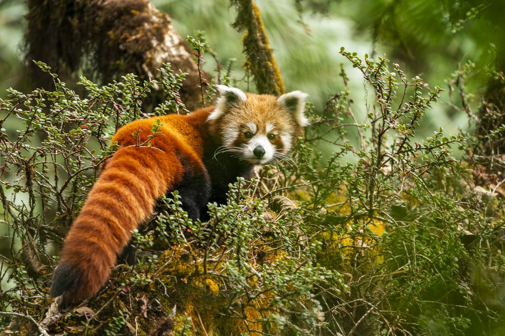 Photograph by Hymakar Valluri