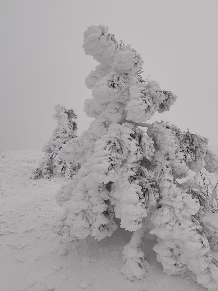 Фотография автора Galya