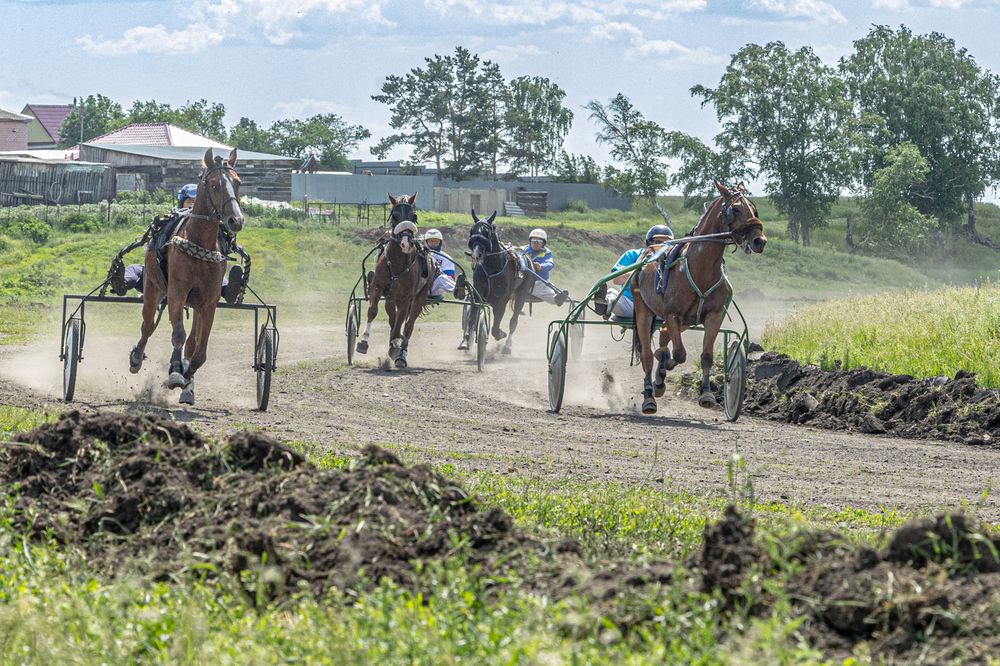 Фотография автора Сопильняк Дмитрий