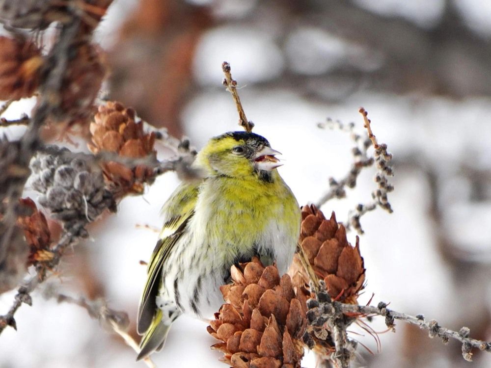 Photograph by Анжелика Трошина