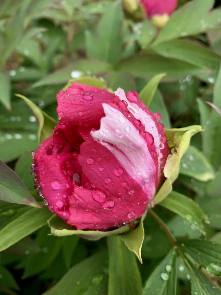 Photograph by Анастасия Рыжакова