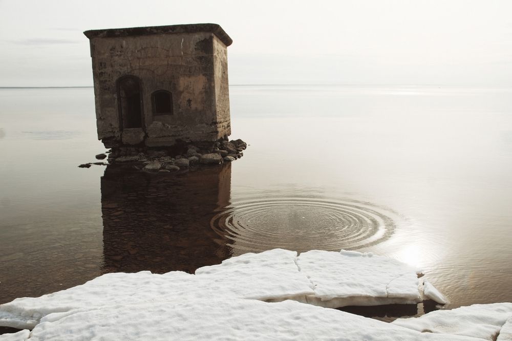 Photograph by игорь цветков