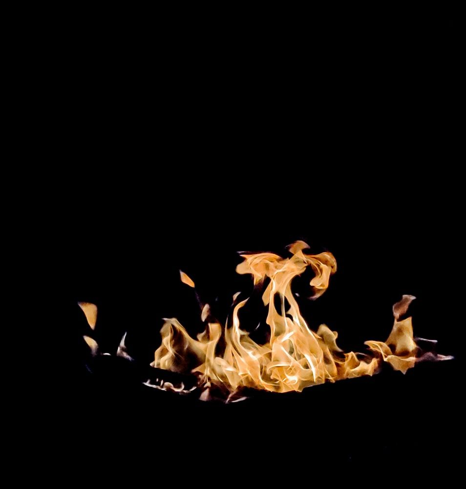 Photograph by Альфия