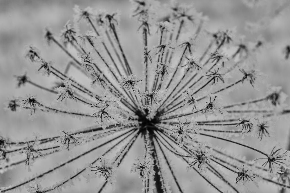 Photograph by Puum Mati