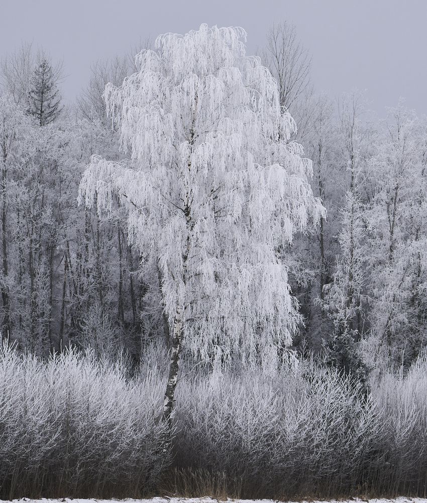 Photograph by Puum Mati