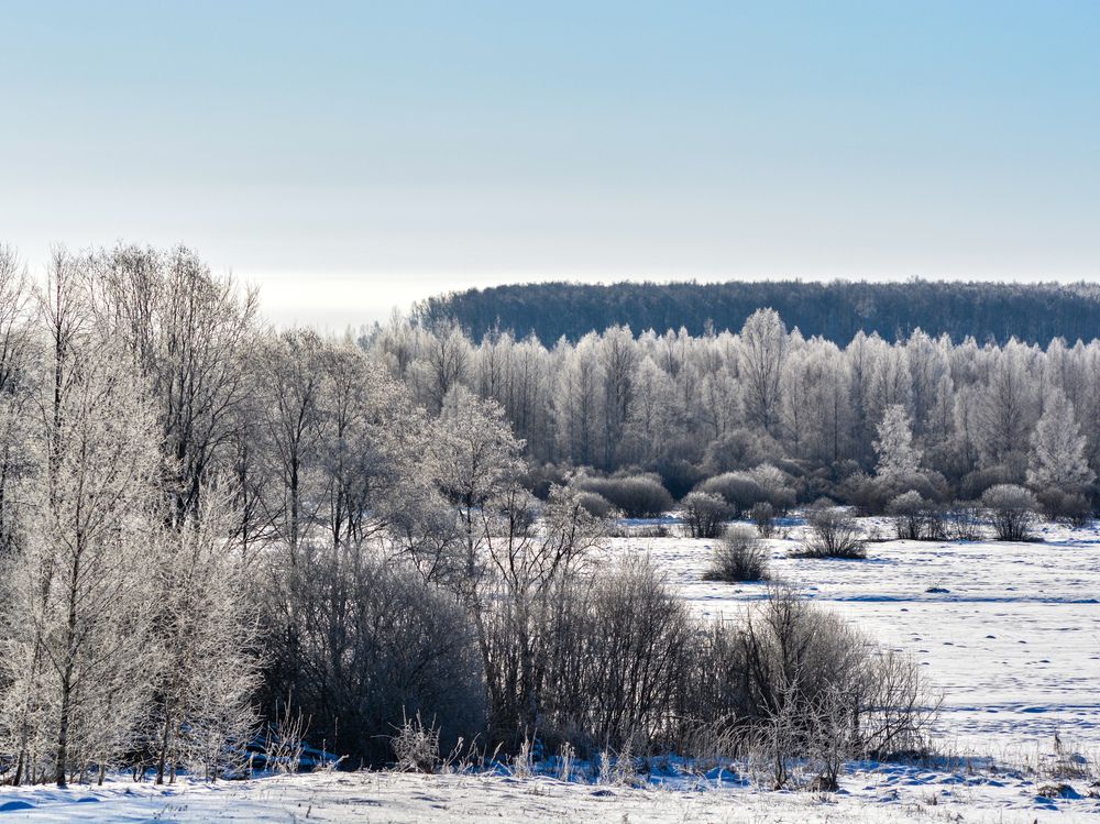 Photograph by Анастасия Гурова