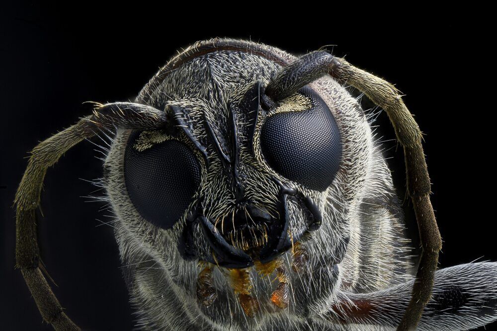 Photograph by Sanjay Verma